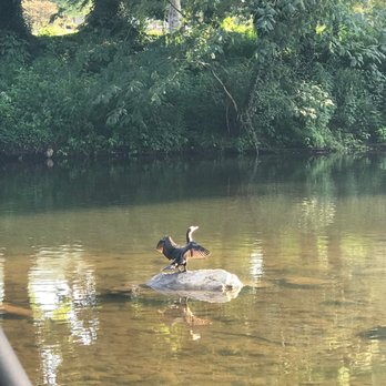 Smoky Waters Campground - Campgrounds Near Me - Townsend, Tennessee Smoky Waters Campground - Campgrounds Near Me - Townsend, Tennessee