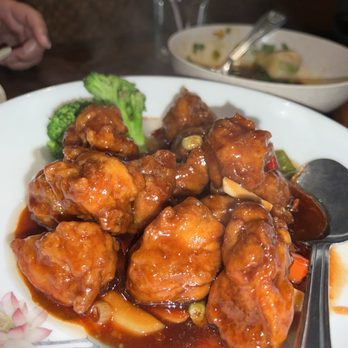 Trendy Dumpling - General Tso's Chicken - Noodles Near Me - Houston, Texas Trendy Dumpling - General Tso's Chicken - Noodles Near Me - Houston, Texas