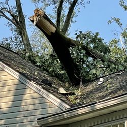 Corbo Tree & Landscaping Service