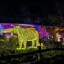 Photo of Oregon ZooLights