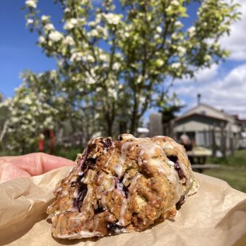 Wild Flour Bread - Bakeries Near Me - Freestone, California Wild Flour Bread - Bakeries Near Me - Freestone, California