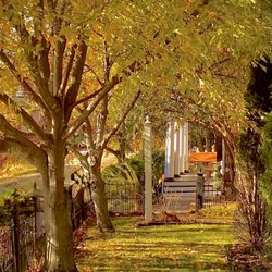 Miss Murphy’s High Street Inn - View of front porch with swing