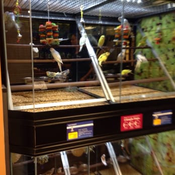 PetSmart - Birds - Pet Groomers Near Me - Torrance, California PetSmart - Birds - Pet Groomers Near Me - Torrance, California