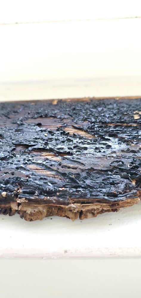 Solway Company - mold inspector in Lake Elsinore, CA