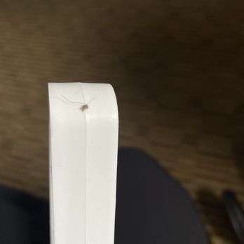 Hyatt Regency Milwaukee - I found boogers everywhere. This one (on the ice tongs) even had a nose hair in it. - Hotels Near Me - Milwaukee, Wisconsin