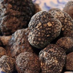 Cooking Classes with Nonna Ciana - Magical truffles.