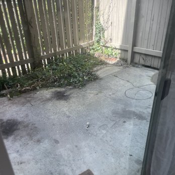 Ochoa’s Hauling - After Jose came! - Junk Removal & Hauling Near Me