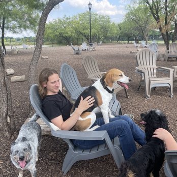 MUTTS Canine Cantina - Fort Worth - Dog Parks Near Me - Forth Worth, Texas