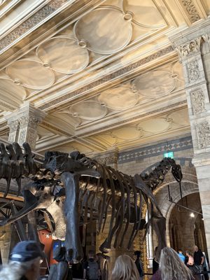 Natural History Museum by null