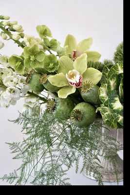 Bee & Pollen by null