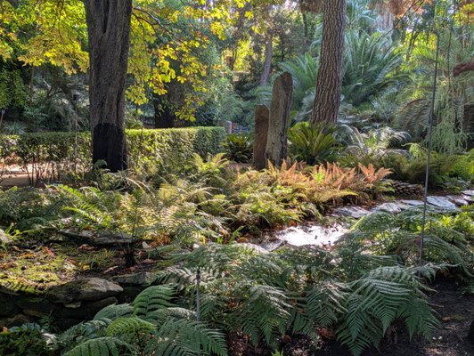 Real Jardín Botánico by null