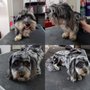 Photo of Angel's Pet Styling
