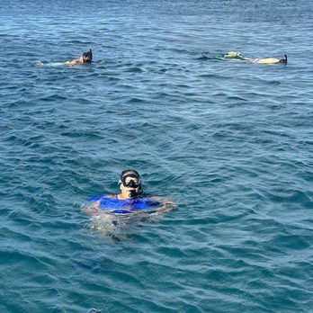 Hawaii Ocean Charters - Enjoying the water - Whale Watching Tours Near Me - Honolulu, Hawaii Hawaii Ocean Charters - Enjoying the water - Whale Watching Tours Near Me - Honolulu, Hawaii