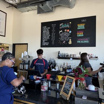 Echo Coffee - Coffee & Tea Near Me - Scottsdale, Arizona Echo Coffee - Coffee & Tea Near Me - Scottsdale, Arizona