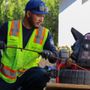 Photo of ACR TRENCHLESS & PLUMBING