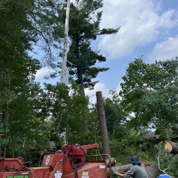 JRL Tree Services Construction - Tree removal - Tree Services Near Me - Epping, New Hampshire