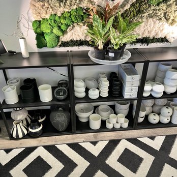 Rooting For You - Rooting For You - Indoor Plants 2380 N. Buffalo Dr. #115 - Home Decor Near Me - Las Vegas, Nevada