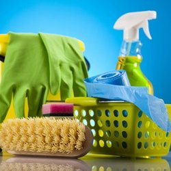 SQUEAKY CLEAN CLEANING SERVICES - Home Cleaning - Grand Rapids, MI