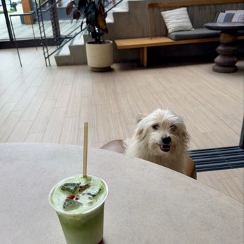 Immersion - Strawberry Matcha - Coffee & Tea Near Me - San Diego, California Immersion - Strawberry Matcha - Coffee & Tea Near Me - San Diego, California