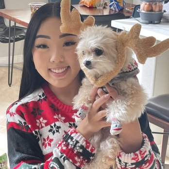Paul P Chon, DDS - Our dog Tinky the reindeer - General Dentistry Near Me - Irvine , California