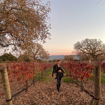 Roblar Winery - Wineries Near Me - Santa Ynez, California Roblar Winery - Wineries Near Me - Santa Ynez, California