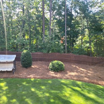 Lucy's Landscape - Mowed lawn trimmed shrubs and added fresh pine straw - Lawn Services Near Me