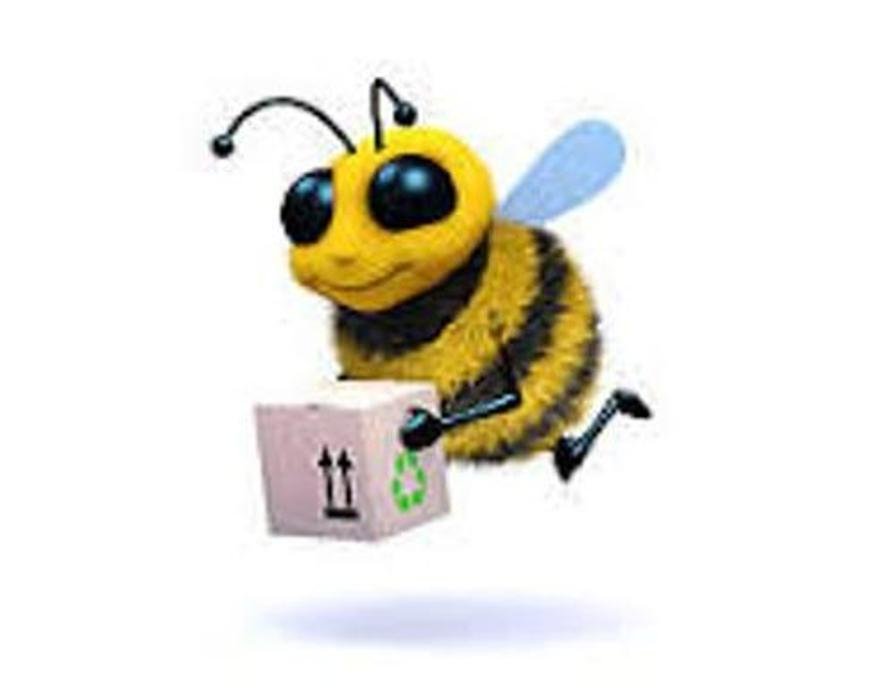 BUSY BEE MOVERS Updated August 2024 10 Photos Rotterdam, New York