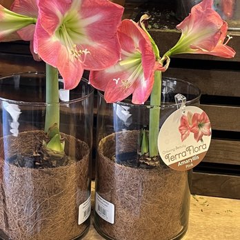 Barons Market Alpine - Great for Christmas presents 2022 - Grocery Near Me - Alpine, California