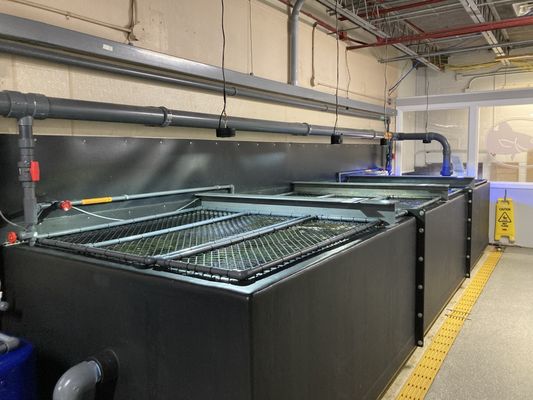 Woods Hole Science Aquarium by null