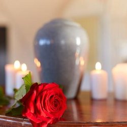 Peaceful Paws Memorial Services - Pet urn vase