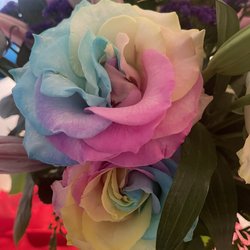 Florabella - This top rose isn't even the worst but it definitely won't last much past tomorrow.