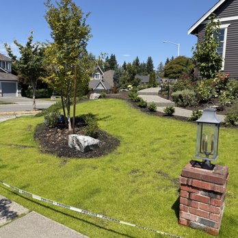 Grizzly Landscape & Construction - Excavation Services Near Me