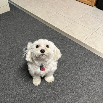 Amity Self Storage - Amity Storage mascot. - Self Storage Near Me - Douglassville, Pennsylvania