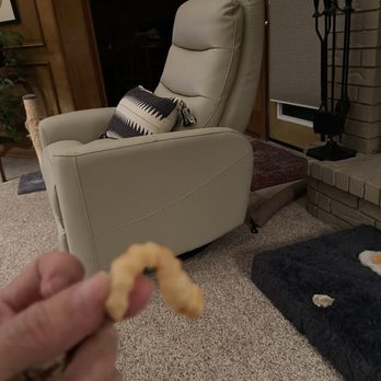 Raising Cane's Chicken Fingers - Some may adore limp fries, I don't:-( - Chicken Shop Near Me - Keller, Texas Raising Cane's Chicken Fingers - Some may adore limp fries, I don't:-( - Chicken Shop Near Me - Keller, Texas