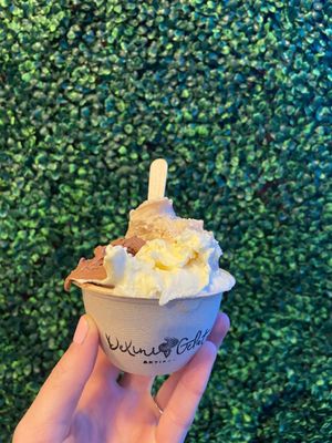 Delini Gelato by null