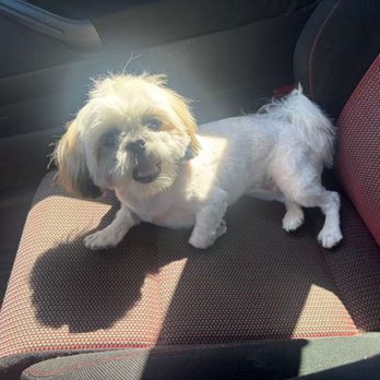 PetSmart - Pet Stores Near Me - Pinole, California PetSmart - Pet Stores Near Me - Pinole, California