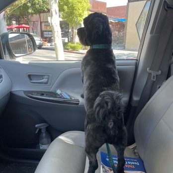 Happy Tails By Sandra - Pet Groomers Near Me - Lancaster, California Happy Tails By Sandra - Pet Groomers Near Me - Lancaster, California