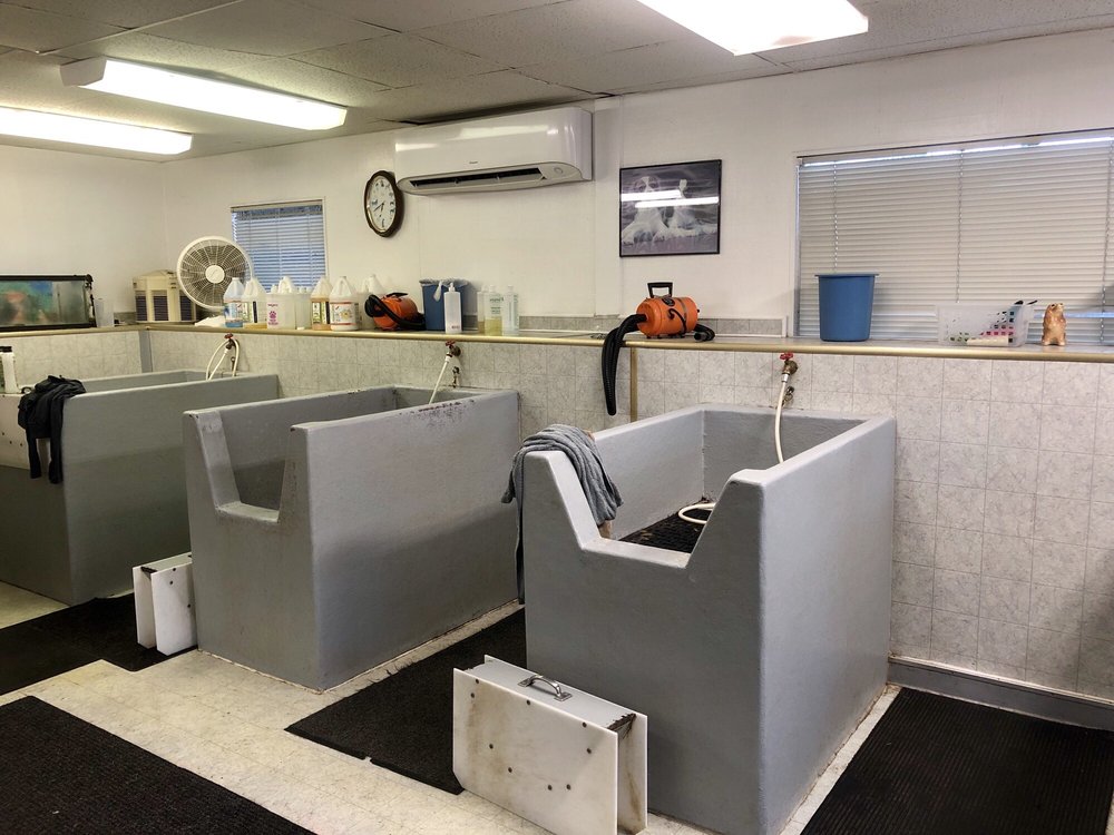 CONNIE’S UWASH DOG WASH Updated September 2024 24 Reviews 8001