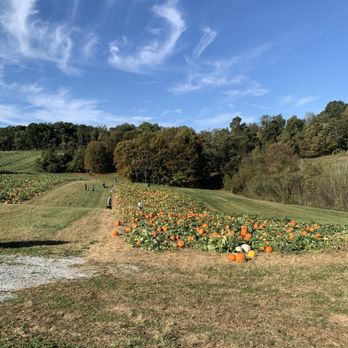 Triple B Farms - Pick Your Own Farms Near Me - Monongahela, Pennsylvania