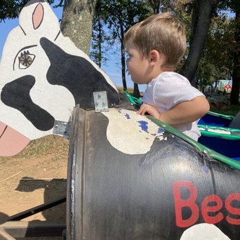 Gaver Farm - Cow train - Pick Your Own Farms Near Me - Mount Airy, Maryland