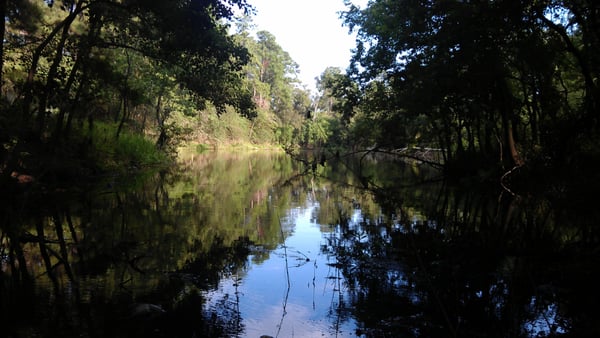 George Mitchell Nature Preserve by null
