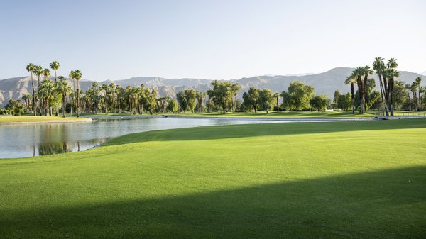 Desert Island Country Club by null