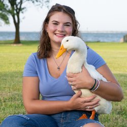 Roxie's Pet Sitting - Pet Sitter & Dog Walker, Kaelyn with her pet duck, Franklin.