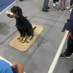 Prince George's Sports & Learning Complex - Lego Brickfest