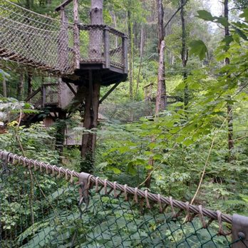Foxfire Mountain Adventure Park - How lovely - Hiking Near Me - Sevierville, Tennessee
