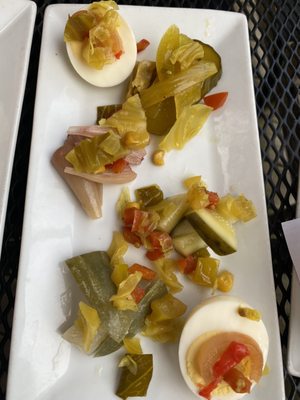 Pickled Owl by null