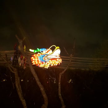 China Lights - Local Flavor Near Me - New Orleans, Louisiana
