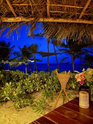 ZIGGY - Beach Club & Restaurant by null