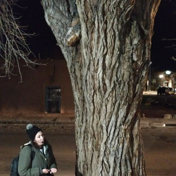 AbqTours - The former "Hanging Tree" in Albuquerque. - Historical Tours Near Me - Albuquerque, New Mexico