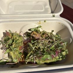 Dark Horse Coffee Roasters - Delish Avo toast